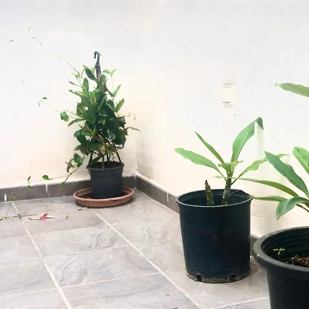 Apartment Varela B